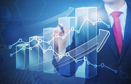 Organic SEO Company2